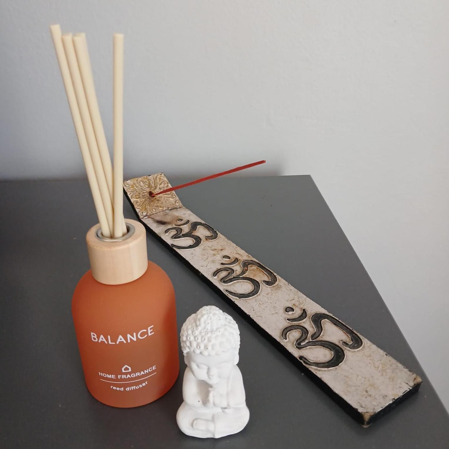 Namaste Spacious Apartment